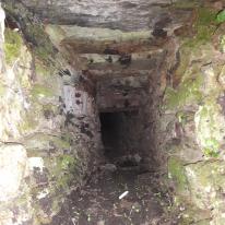 Hidden tunnel I've found whilst working at a 16/17th century house in angarrack....going to have to explore one day Hidden tunnel I've found whilst working at a 16/17th century house in angarrack....going to have to explore one day